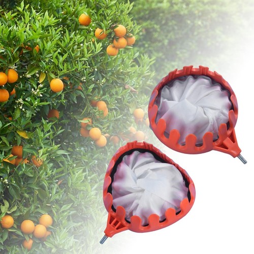 Fruit picker head with - , basket