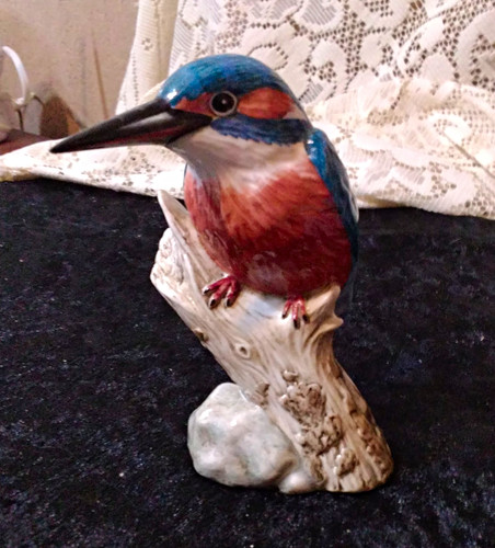 Mack kingfisher bird bone - bird,
