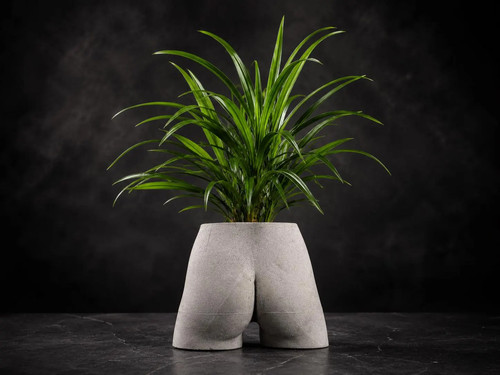 Bum planter cast stone - stone, plant