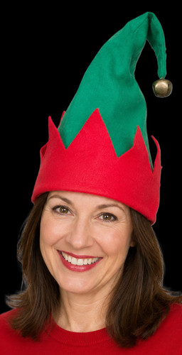 Adult christmas elf - adult, hat