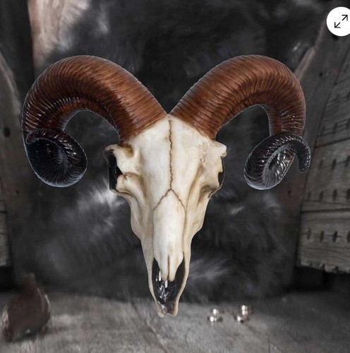 Rams skull wall plaque - rams,