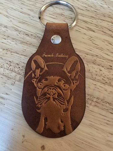 French bulldog leather - french,