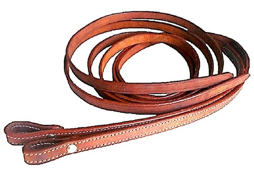 Western saddle horse - western,