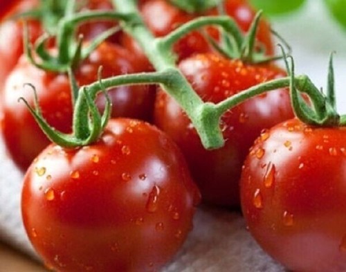 Piccolo red cherry tomato - red,