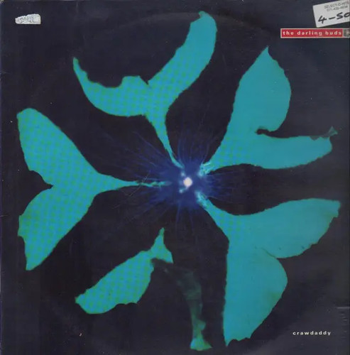 The darling buds crawdaddy - darling,