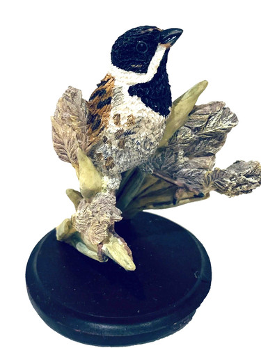 Country bird collection the - country,