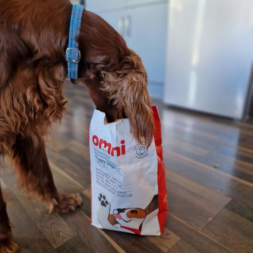 Omni puppy vegan dry - omni,