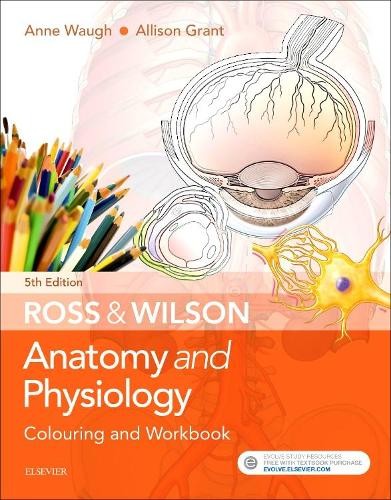 Ross wilson anatomy - &, and
