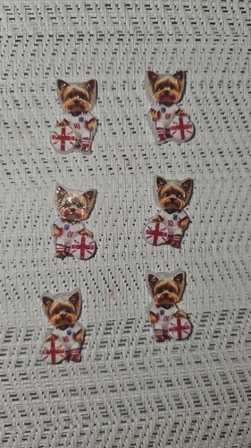 Yorkshire terrier football - yorkshire,