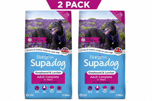 Burgess supadog greyhound - supadog, &