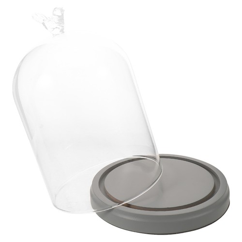Bell jar glass - glass, cloche