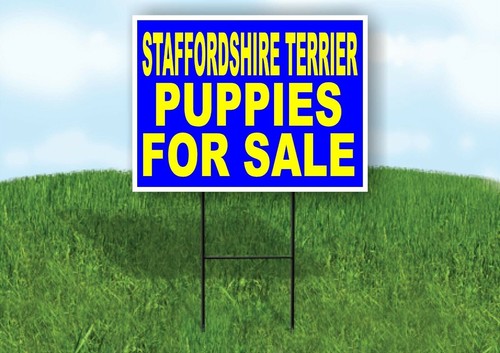Staffordshire terrier puppies - terrier,