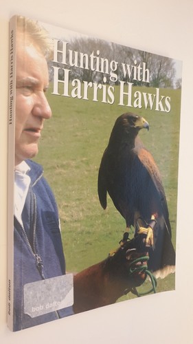 Hunting with harris hawks - with, bob