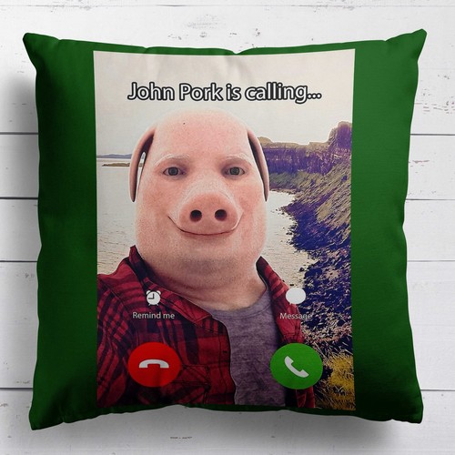 John pork cushion funny - pork,