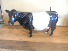 BESWICK BELTED GALLOWAY COW