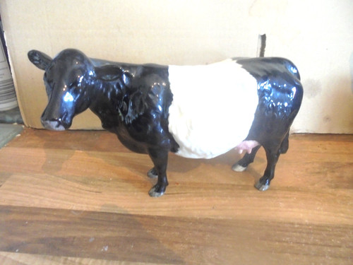 Beswick belted galloway - belted, cow