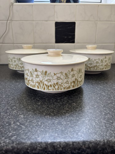 Vintage hornsea fleur lidded - hornsea,