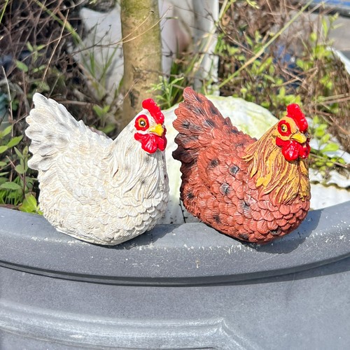 Pair chicken garden - of,