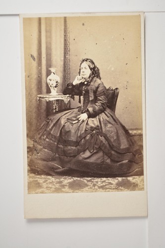 Woman crinoline dress book - woman,