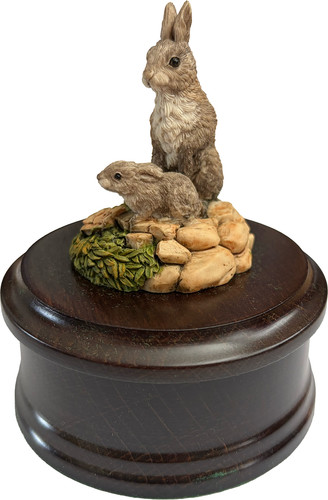 Country artists rabbit - rabbit, family