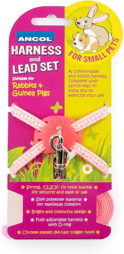 Ancol harness lead - harness, for