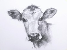ORIGINAL Jersey Cow Charcoal