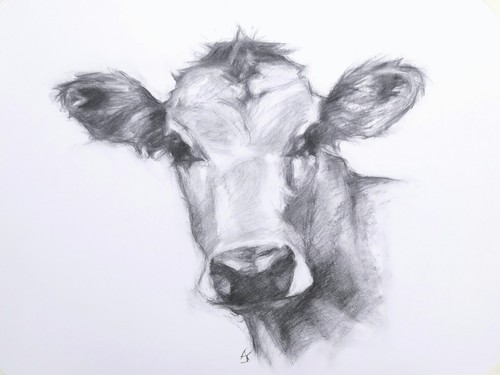 Original jersey cow charcoal - original,