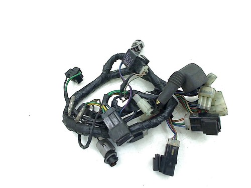 Wiring harness front - wiring,