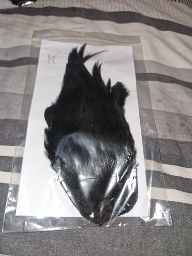 Cock cape fly tying - cock,