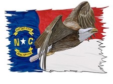 NC Flag Tattered w/ Flying