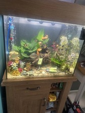Aqua One Oak Style Aquarium &