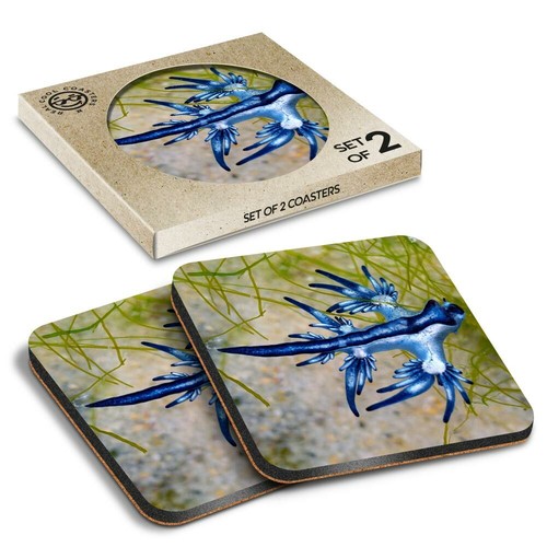 Boxed square coasters - 2,