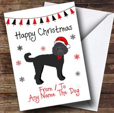 Labradoodle From Or To The Dog