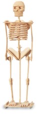 Quay Skeleton Woodcraft