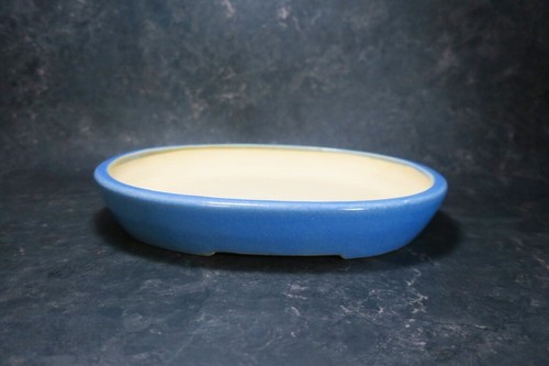 Genuine japanese bonsai pot - bonsai,