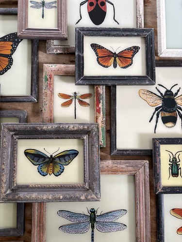 Insect glass paintings - insect,