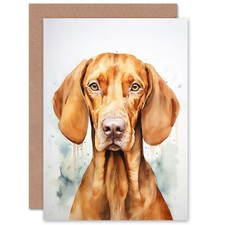 Hungarian vizsla dog - vizsla,