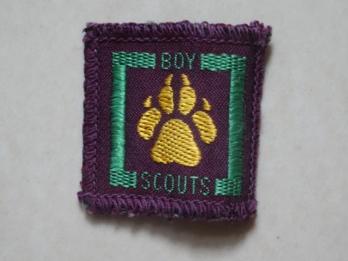 Senior scouts proficiency - senior,