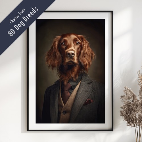 Smartly dressed dog - smartly,