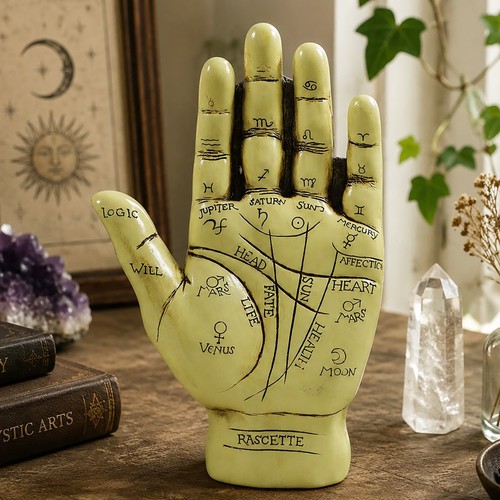 Large palmistry palm reading - large,