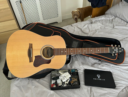 Seagull dreadnought - seagull, s6