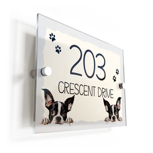 Boston terrier dog puppy cream - terrier,