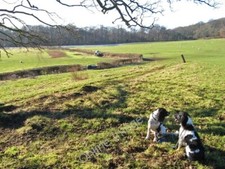Photo 6x4 Hedge cutting Llandudno A tractor with a hydraulic flail is wor c2011