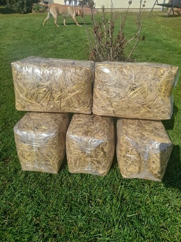 High quality wheat - #, for