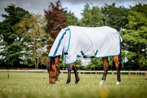 Horseware ireland amigo aussie - horseware,