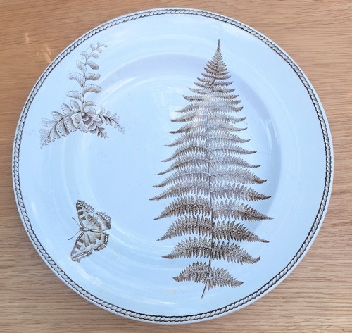 Victorian wedgwood fern - victorian,