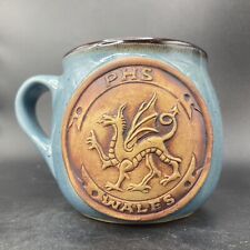 Vintage PHS Wales Dragon