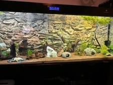 Aquarium background for 4x2 - background, 3d