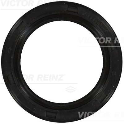 Victor reinz 53244 - victor, 81-53244-00