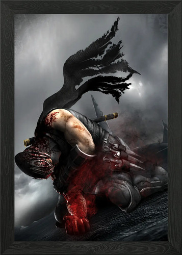 Ninja gaiden samurai framed - gaiden,